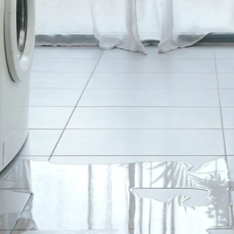 Appliance Leak Cleanup in Mason City, IL