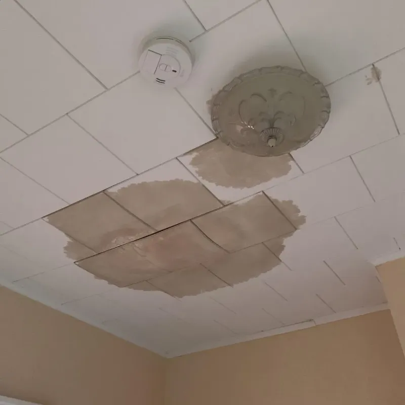 Ceiling Water Damage Repair in Mason City, IL