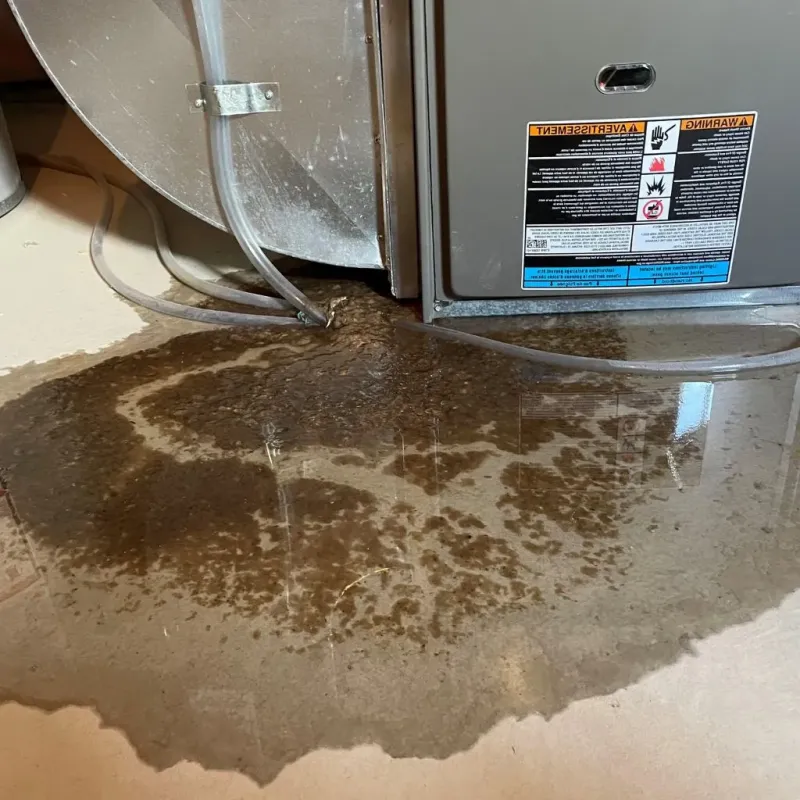 Pipe Burst and Leak Restoration in Mason City, IL