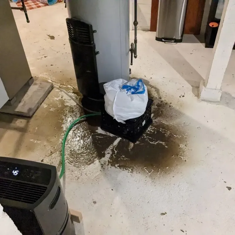 Sewage Backup Cleanup Service in Mason City, IL